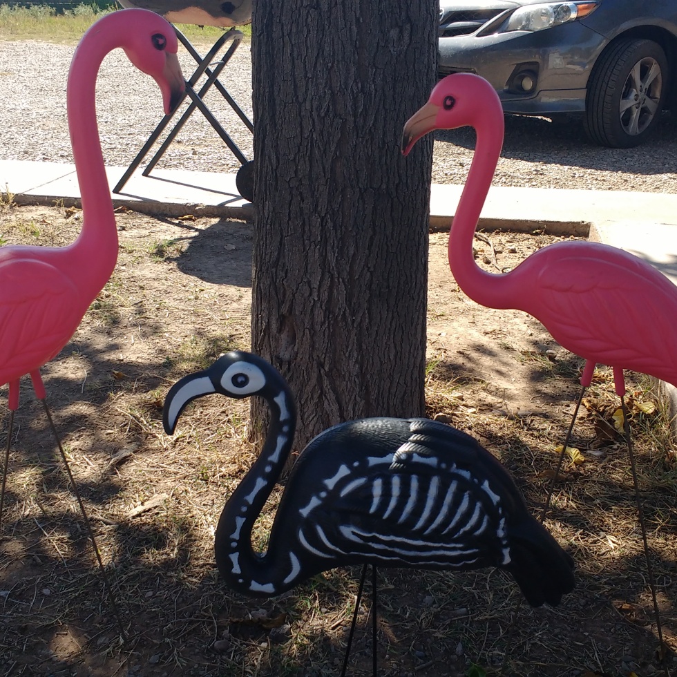 flamingoes, flamingos, skeleton, halloween