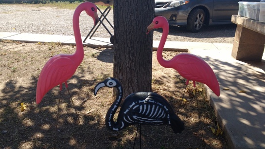 flamingoes, flamingos, skeleton, halloween